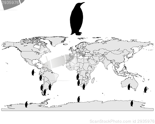 Image of Penguins range