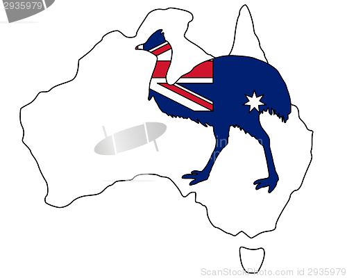 Image of Kassowary Australia