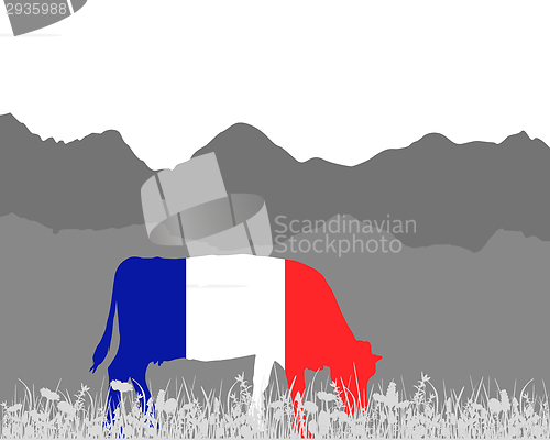 Image of Cow alp and french flag