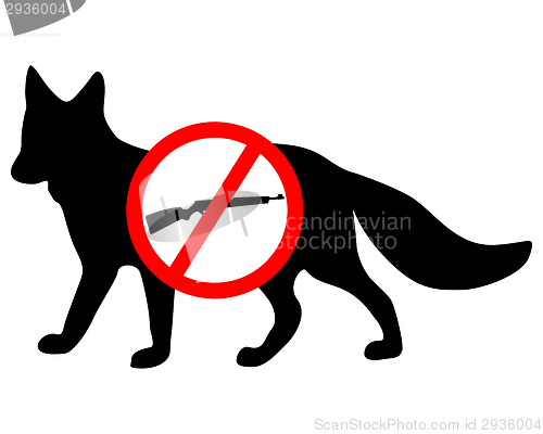 Image of Do not shoot fox