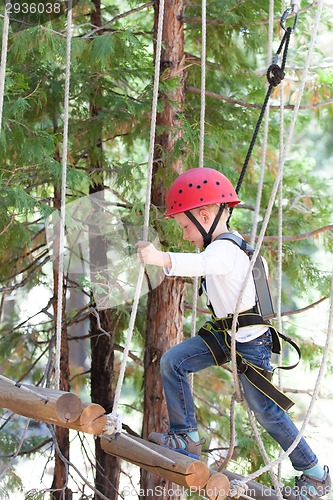 Image of kid in adventure park