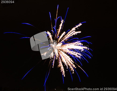 Image of Fireworks