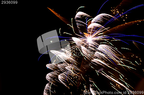 Image of Fireworks