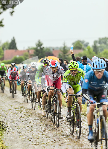 Image of The Peloton on a Cobbled Road- Tour de France 2014