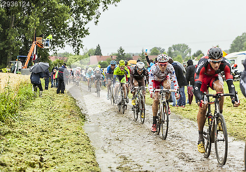 Image of The Peloton on a Cobbled Road- Tour de France 2014