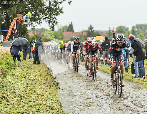 Image of The Peloton on a Cobbled Road- Tour de France 2014