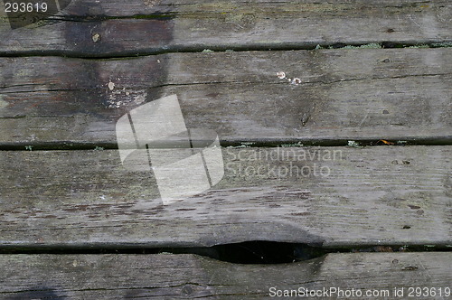 Image of Plank