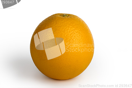 Image of Orange