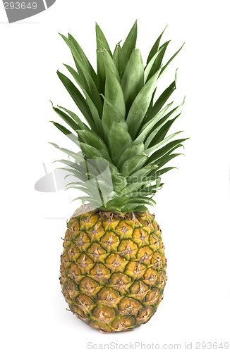 Image of Pineapple