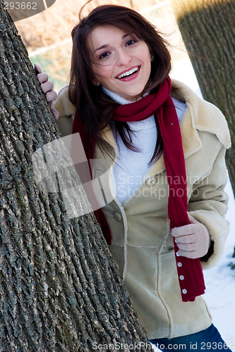 Image of Winter blast