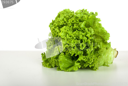 Image of Lettuce