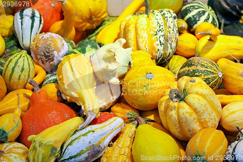 Image of Decorative pumpkins