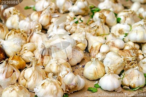 Image of Garlic