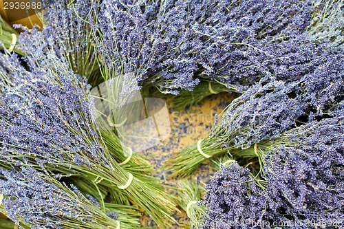 Image of Lavender pile