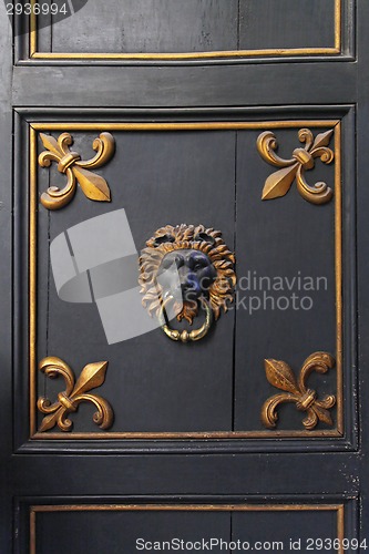 Image of Lion door knocker