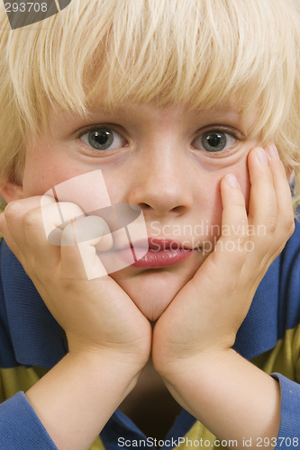 Image of Little boy portrait