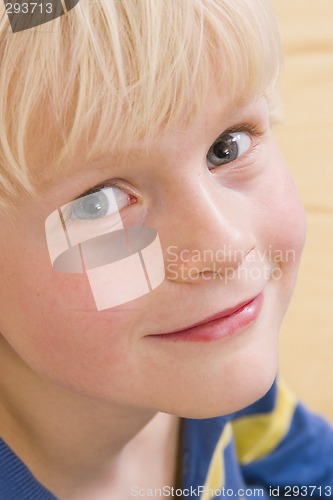 Image of Cute young boy