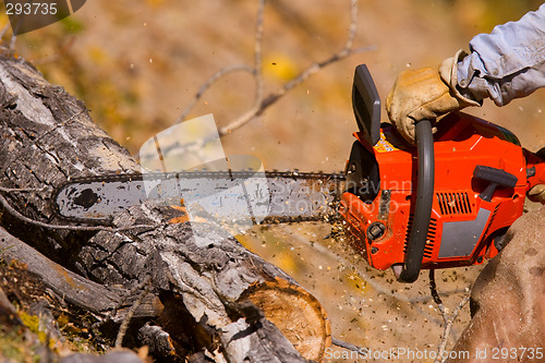 Image of logging