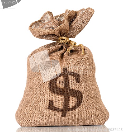 Image of Money bag