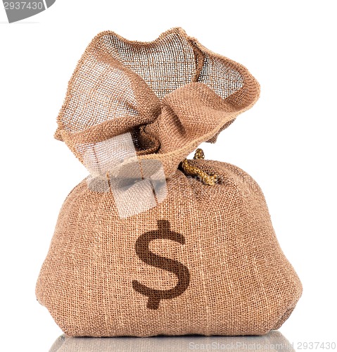 Image of Money bag