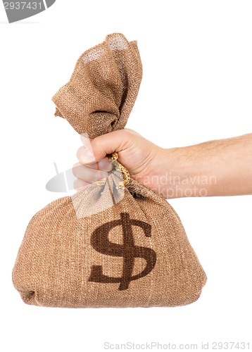 Image of Money bag