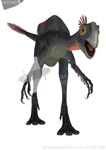 Image of Dinosaur Gigantoraptor