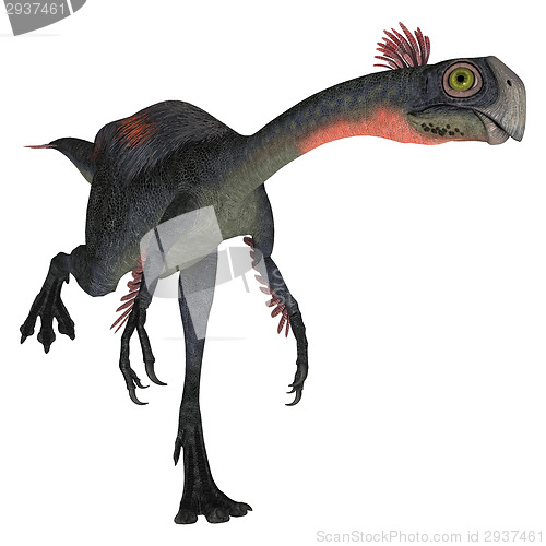 Image of Dinosaur Gigantoraptor