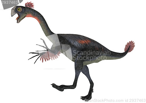 Image of Dinosaur Gigantoraptor