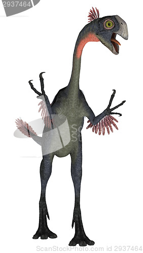 Image of Dinosaur Gigantoraptor