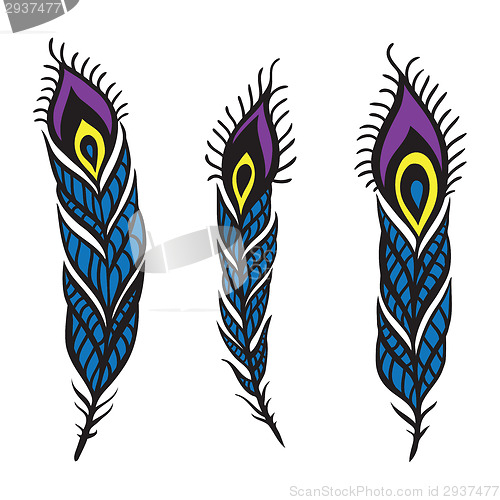 Image of Peacock Feather set.