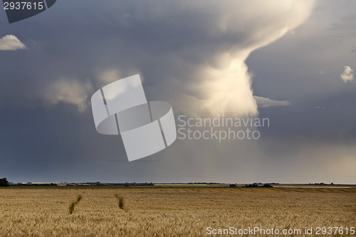 Image of Storm Clouds Saskatchewan