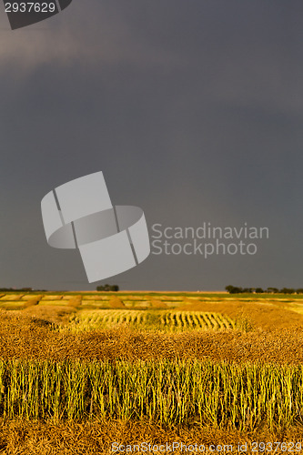 Image of Storm Clouds Saskatchewan