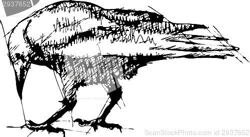 Image of Crows vector Pen Drawing