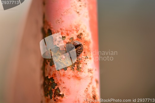 Image of Industrial metallic pipeline joint with bolts