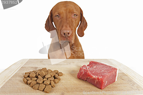 Image of kibble or natural dog food