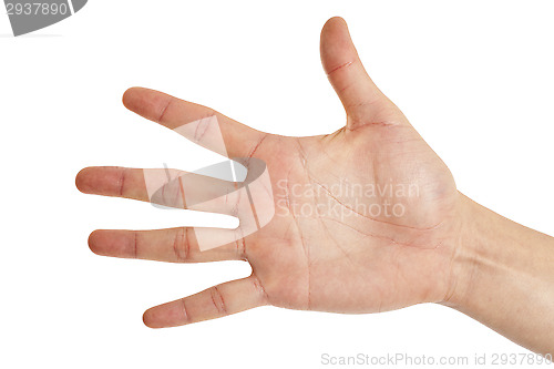 Image of five finger sign