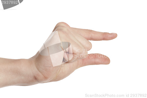 Image of hand showing small size