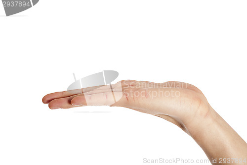 Image of human hand palm facing up 