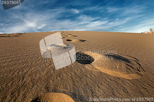 Image of footsteps in desert sand