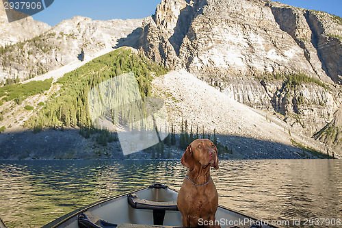 Image of dog in canoe