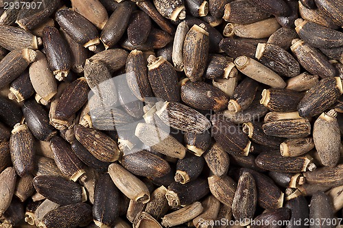 Image of milk thistle background