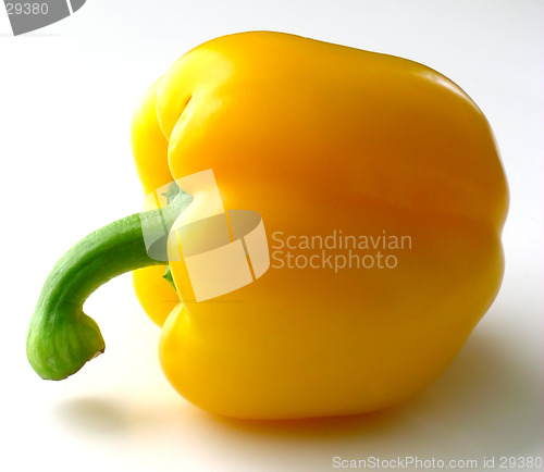 Image of Yellow Bell Pepper