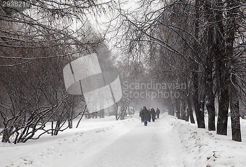 Image of Snow storm