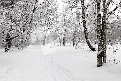 Image of Winter alley