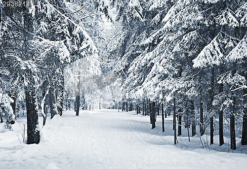 Image of Winter alley