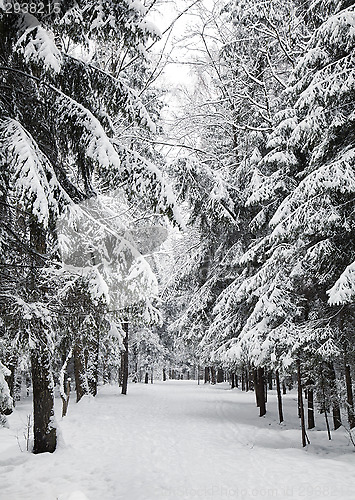 Image of Winter alley