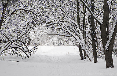 Image of Winter alley