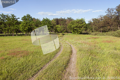 Image of Country road