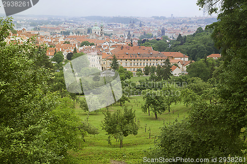 Image of Roofs of Prague