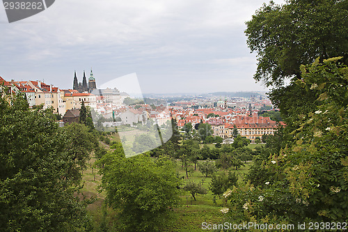 Image of Roofs of Prague